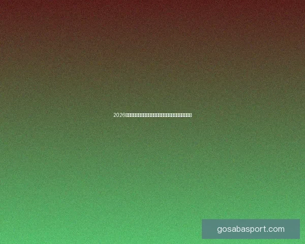 2026美国世界杯球场全景布局城市分布与观赛体验深度解析指南