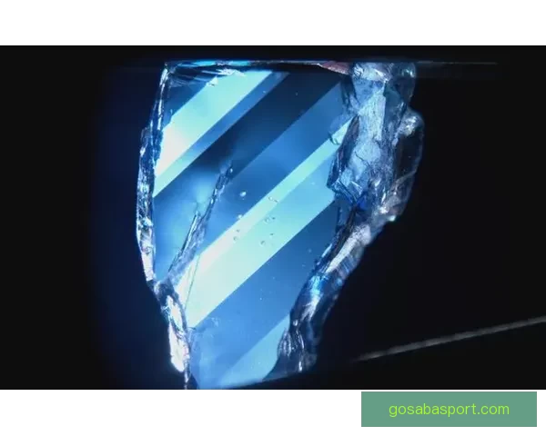 世界杯赛事深度解析与体育竞猜策略全方位指南